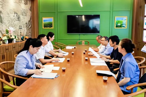 為縣域治理貢獻(xiàn)法治力量 赤壁推行首席法律咨詢(xún)'54321'工作法